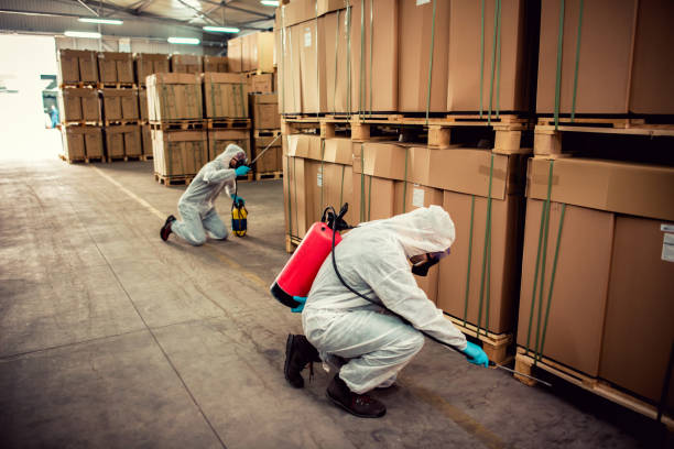 Best Mosquito Control Services  in Luling, LA