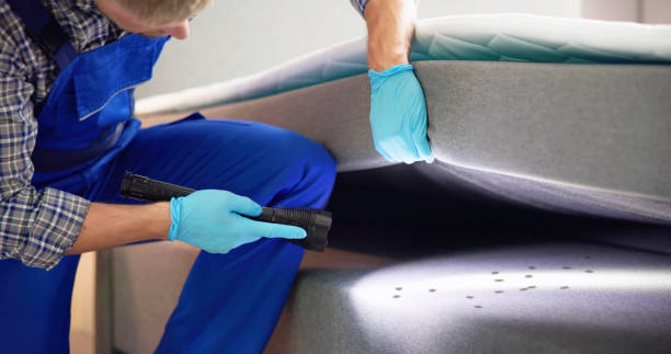 Best Wasp Removal Services  in Luling, LA