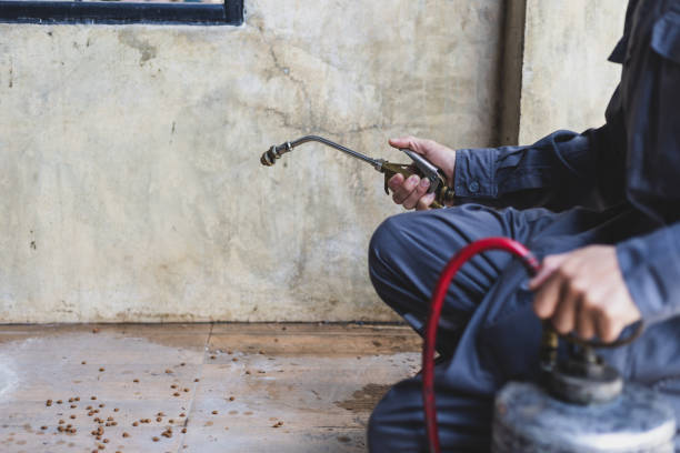 Trusted Luling, LA Pest Control Experts